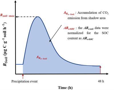 Pulse Effect of Precipitation: Spatial Patterns and Mechanisms of Soil Carbon Emissions